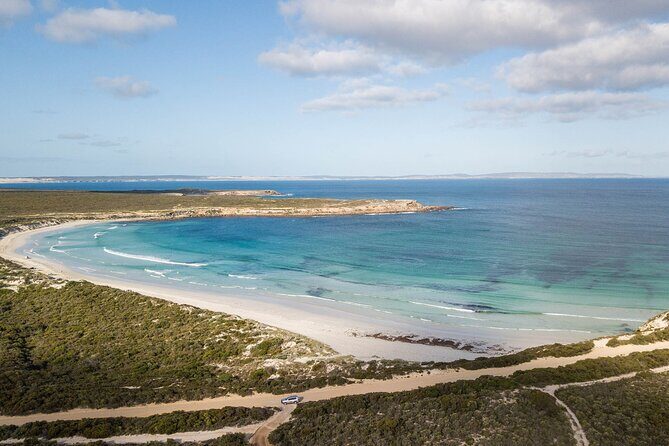 One Day Port Lincoln Tour - Tasting Eyre - Practical Tips for Travelers