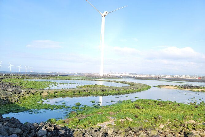 One day private Customized jeju tour - All Area in jeju island - The Sum Up: Who Should Book This Tour?