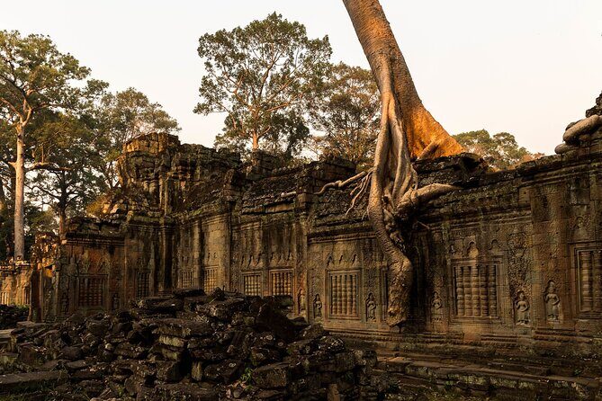 One-Day Private Guided Backroads Cycling Tour of Angkor Temples - What Reviewers Mentioned