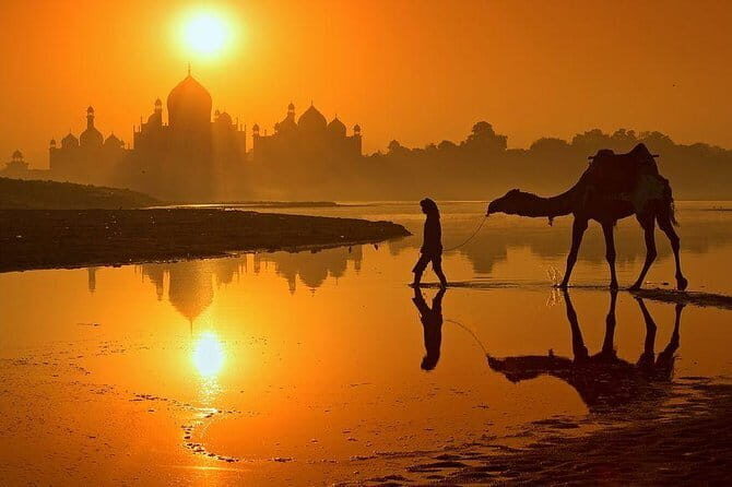 One Day Private Guided Tour of Taj Mahal Sunrise by Car From Delhi - An In-Depth Look at the Experience