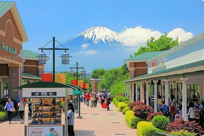 One Day Private Tour in Kyoto and Nara From Osaka - Who Is This Tour Best For?