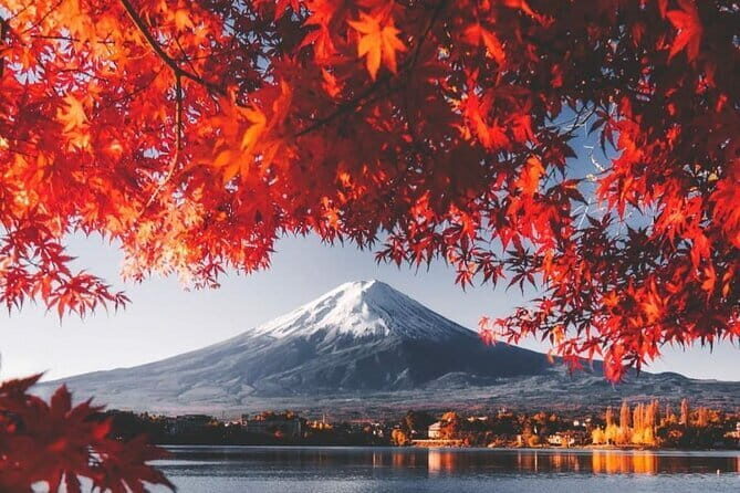 One Day Private Tour in Nikko from Tokyo - Transportation and Group Size