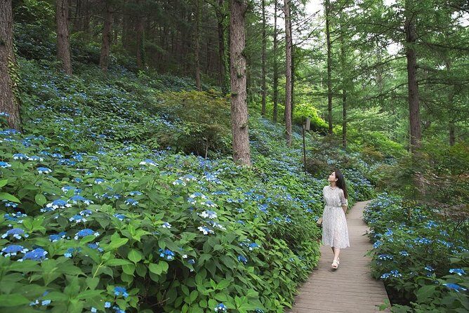 One Day Private Tour-Nami, Petite and Garden of Morning Calm - Final Thoughts