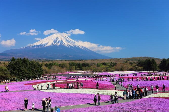 One day private tour to Nikko with English speaking driver - Final Thoughts: Is This Tour Worth It?