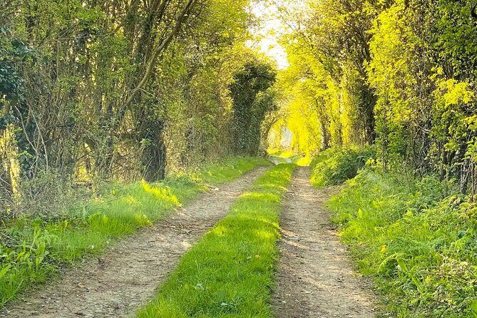 One Day Road Trip from London to The Cotswolds - Pricing and Value