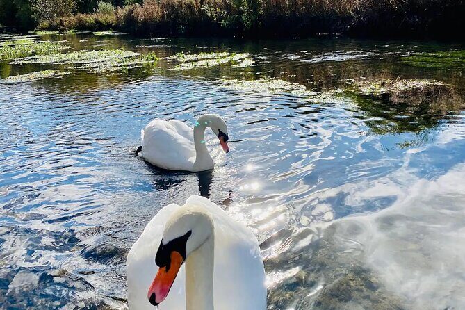 One Day Road Trip from London to The Cotswolds - Who Is This Tour Best For?