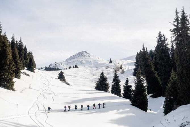 One Day Ski Tour Near Almaty - Key Points