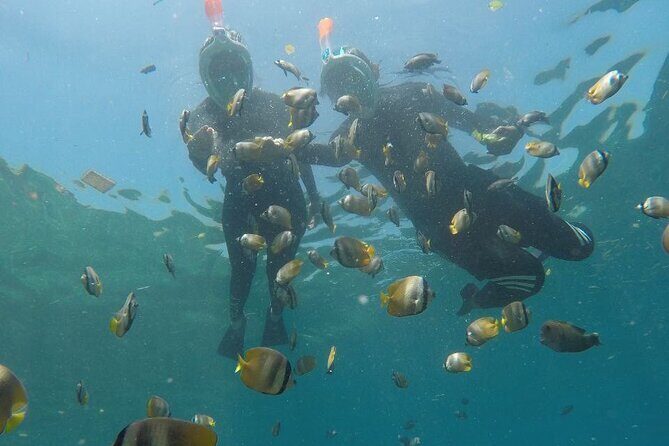 One Day Snorkeling Trip & West Tour Nusa Penida by Penidago - Final Thoughts: Is This Tour Worth It?