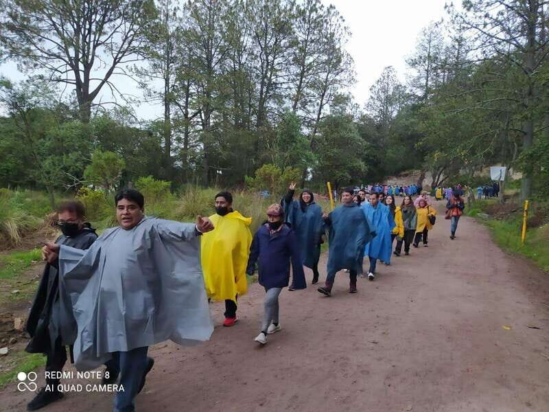 One day tour from Mexico City to Firefly Sanctuary - Authenticity and Practical Tips