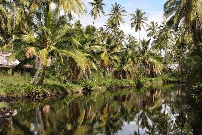 One-Day Tour Hawaii Movie Tour: Island Hopping from Oahu to Kauai - What To Expect at Each Stop