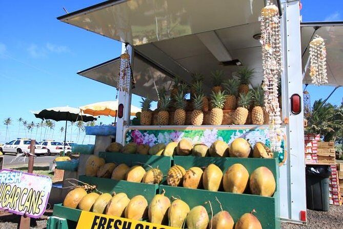 One-Day Tour Hawaii Movie Tour: Island Hopping from Oahu to Kauai - Analyzing the Price & Value