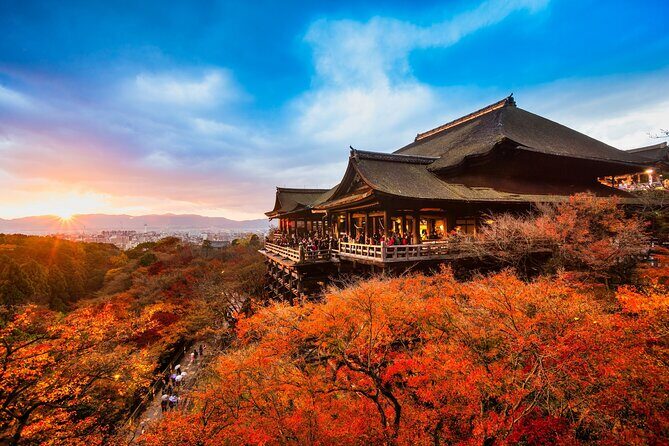 One-Day Tour of Kyoto's Highlights from Osaka/Kyoto - The Experience: Pros and Cons
