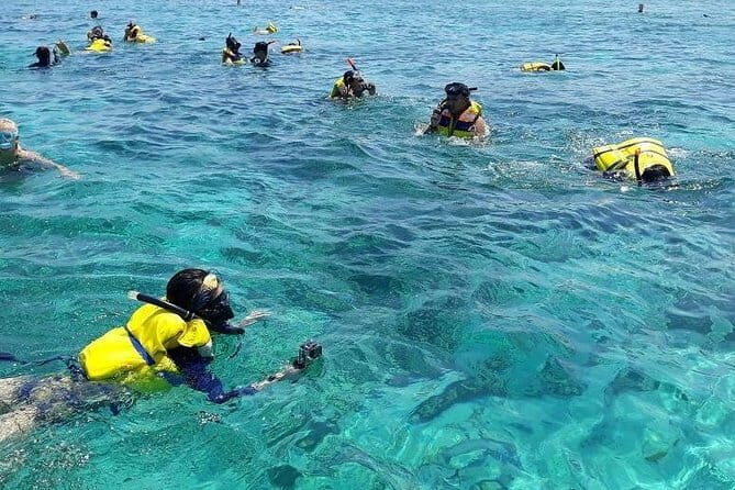 One Day Tour Pink Beach East Lombok Excursion - Frequently Asked Questions