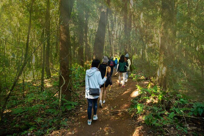 One Day Trekking & Bamboo rafting at Mae wang - The Itinerary in Detail
