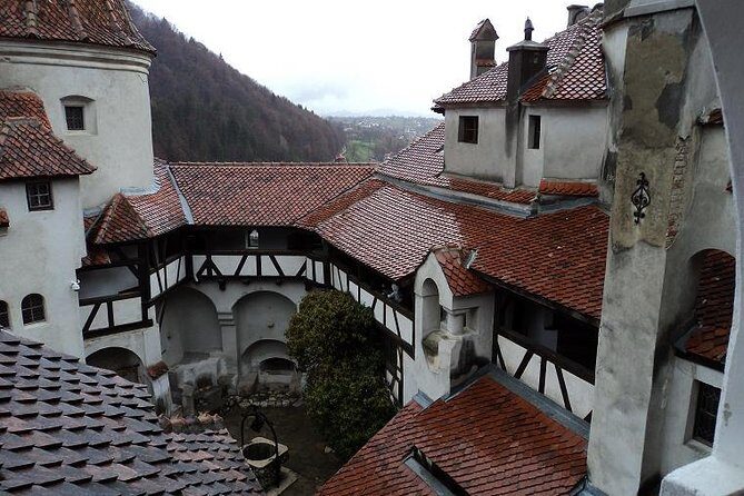 One day trip Bear Sanctuary, Dracula Castle, Rasnov Fortress from Brasov - The Sum Up