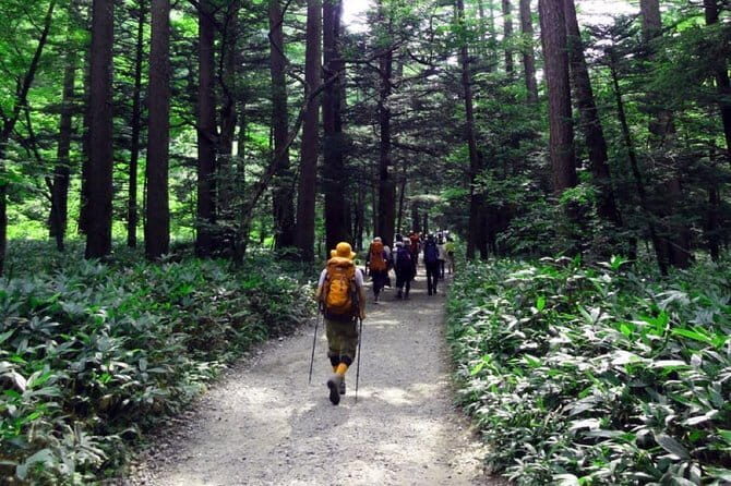One Day Trip to Kamikochi& Hida With Lunch From Nagoya - Final Thoughts