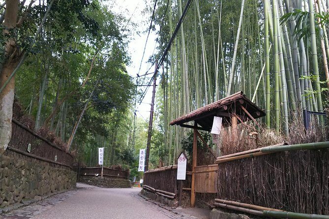 One-Day Walking Tour : Enjoy Kyoto to the fullest! - Final thoughts