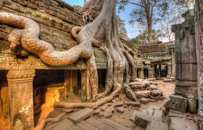 One Full Day Private tour of Angkor Wat, Ta Prohm, Angkor Thom & Banteay Srie - Key Points