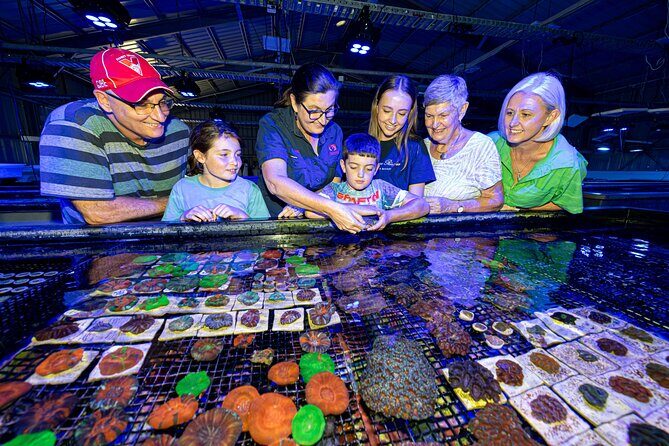 One Hour Coral Farm Tour, Discover Australia's Marine Life - What to Expect During Your Tour