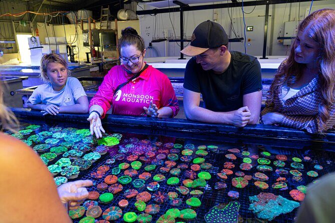 One Hour Coral Farm Tour, Discover Australia's Marine Life - Why This Experience Offers Good Value