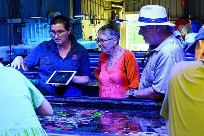 One Hour Coral Farm Tour, Discover Australia's Marine Life - Practical Tips for Visitors