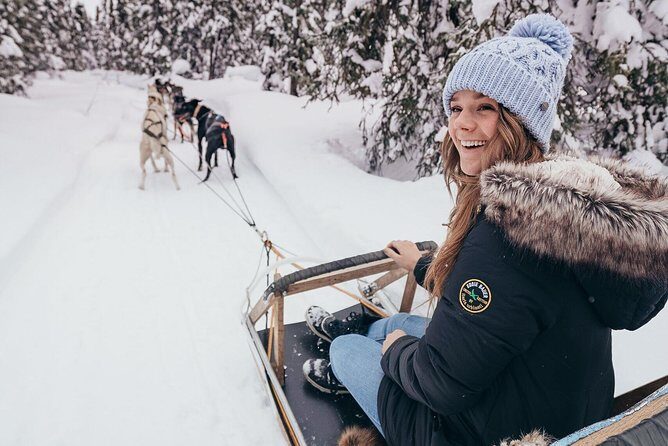 One Hour Experience Dog Sledding - Why You Should Consider This Dogsledding Experience in Fairbanks