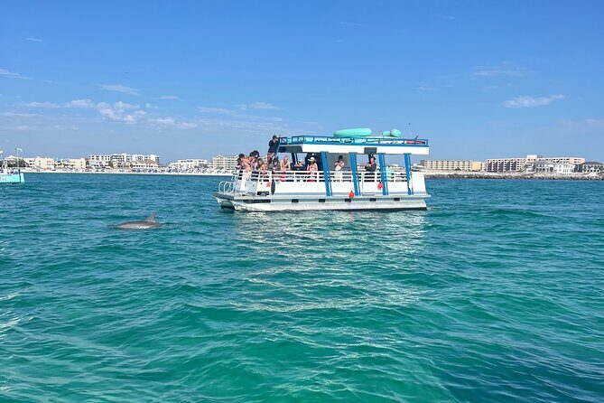 One Hour Harbor Shared Tour with Dolphin Watching - The Tour Experience in Detail