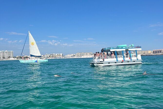 One Hour Harbor Shared Tour with Dolphin Watching - Final Thoughts