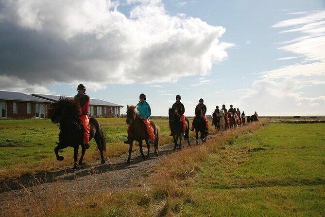 One-Hour Horseback Riding Tour in the Icelandic Countryside - Who This Tour Is Best For