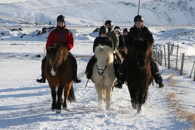 One-Hour Horseback Riding Tour in the Icelandic Countryside - Final Thoughts