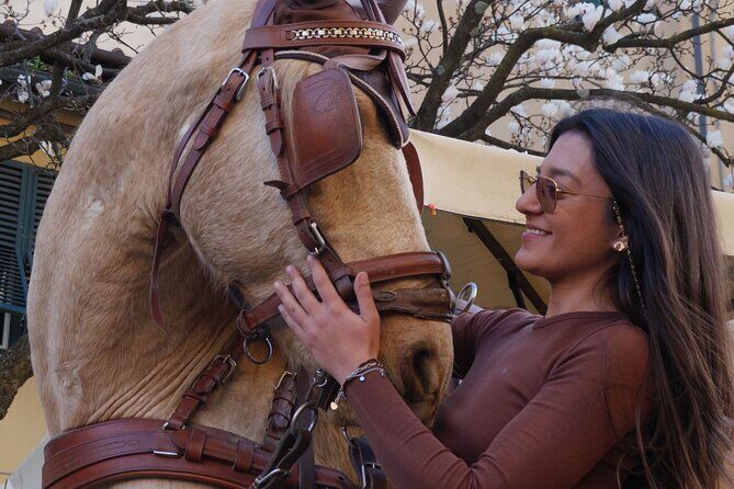 One-hour tour through the historic center and half Renaissance walls - Key Points