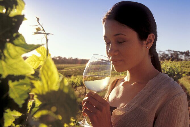 One Hump Camel Farm and Wine Tour - Value for Money and Who Should Book?