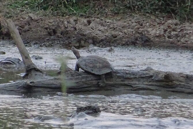 One Night Camping in Yala National Park - Exploring Yala: The Heart of the Experience