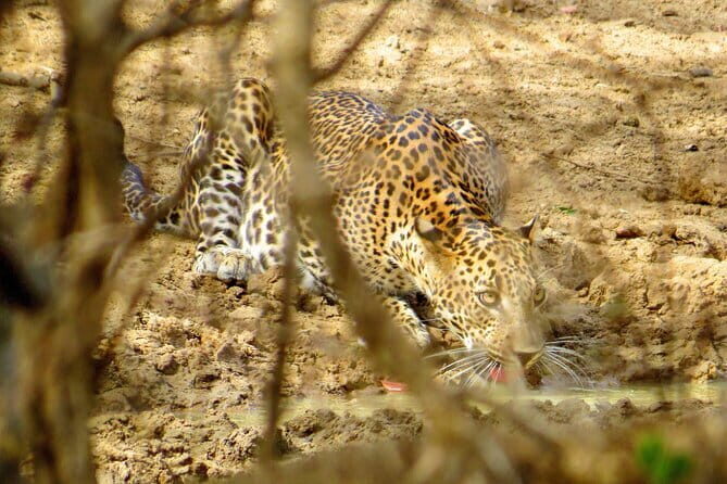 One Night Camping in Yala National Park - FAQ