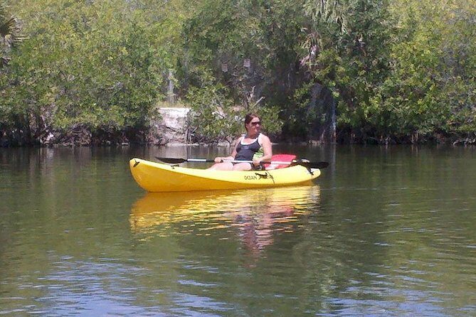 One Single Kayak Rental for 2 hours with Manatee & Dolphin sightings! - An In-Depth Review of the Kayak Experience