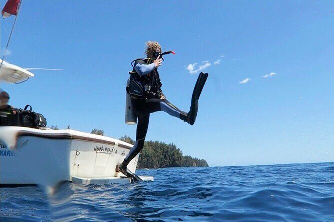 One Tank Boat Dive - Sea Turtles & Tropical Reef - Key Points