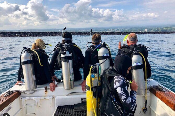 One Tank Boat Dive - Sea Turtles & Tropical Reef - The Dive Experience in Detail