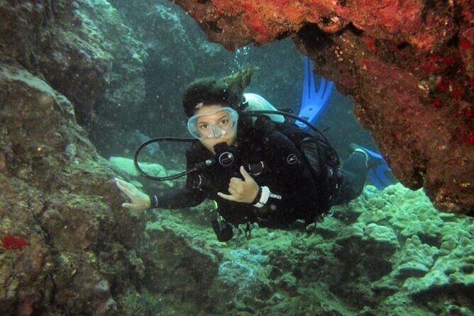 One Tank Boat Dive - Sea Turtles & Tropical Reef - Practical Tips for Participants