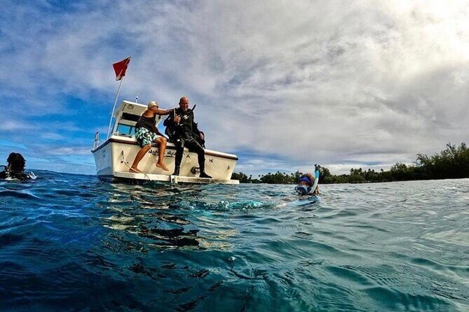 One Tank Boat Dive - Sea Turtles & Tropical Reef - FAQ