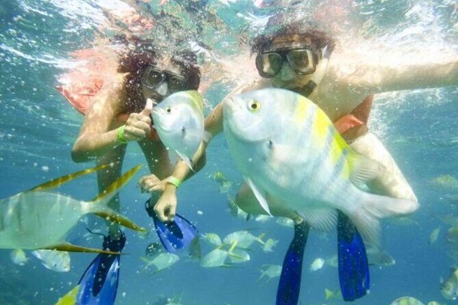 One Way Airport Transfer from SJD-Hotel or Hotel-SJD Cabo San Lucas Zone - Authentic Experiences and Traveler Insights