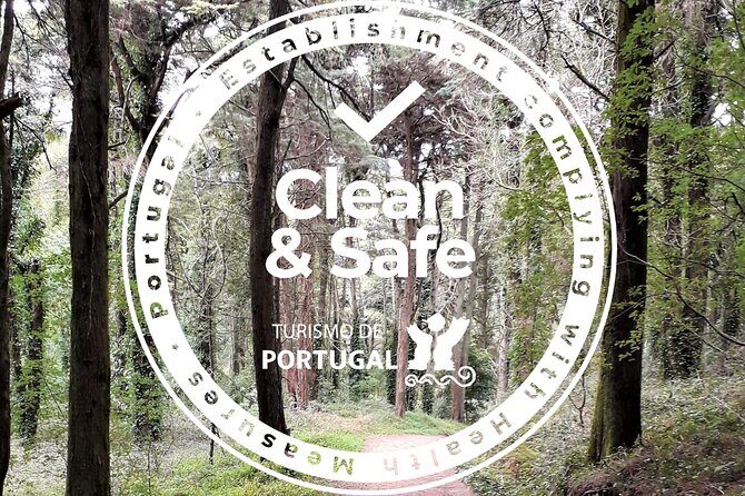 One Way Algarve to Lisbon, through SW Natural Park, Lagos, Sagres, Porto Covo - A Detailed Review of the Algarve to Lisbon Private Transfer Tour