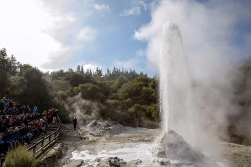 One Way Drop-off Tour: Rotorua to Auckland via Blue Springs - Analyzing the Value