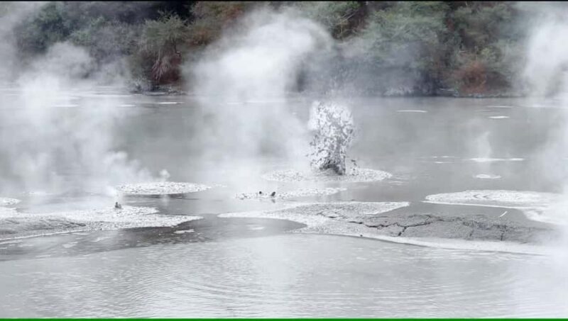 One Way Drop-off Tour: Rotorua to Auckland via Blue Springs - The Sum Up