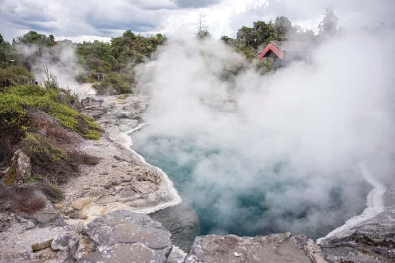 One Way Drop-off Tour: Rotorua to Auckland via Blue Springs - FAQ