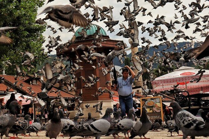 One-way Private Airport Transfer to Sarajevo - Authentic Experiences from Travelers