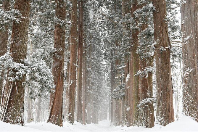 One Way Private Shuttle to Nagano Ski Centers - FAQ
