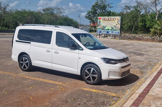 One way private transfer Bahia Principe area - Who Will Love This Service?