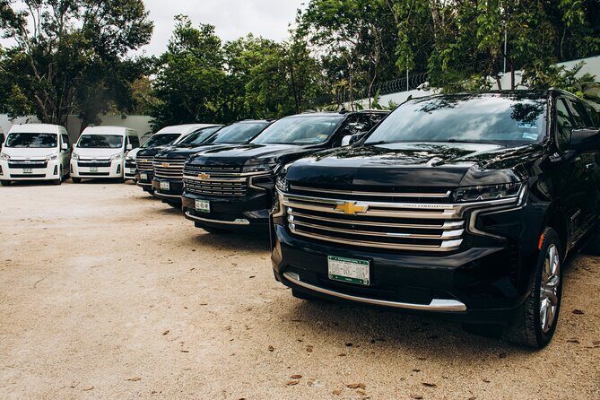 One Way Private Transfer Cancun Int Airport-Cancun Hotel Zone - Introduction