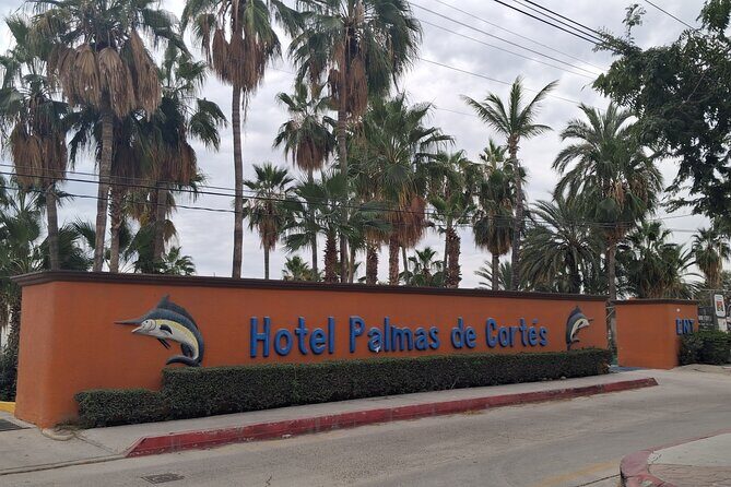 One Way Private Transfer Los Cabos Airport to Barrels BCS - The Real-World Experience: What Travelers Say