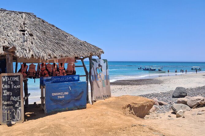 One Way Private Transfer Los Cabos Airport to Cabo Pulmo Park - Why Choose a Private Transfer?